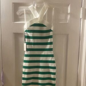 Babaton Strapless Dress in Green and White Stripes